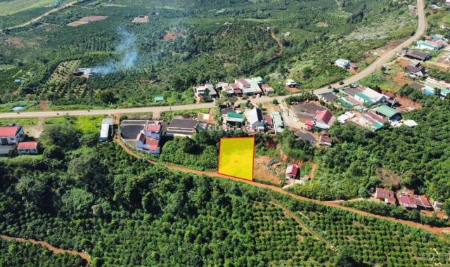 Bán đất tại đường 28, Xã Tân Châu, Di Linh, Lâm Đồng diện tích 512m2 giá 1.2 tỷ