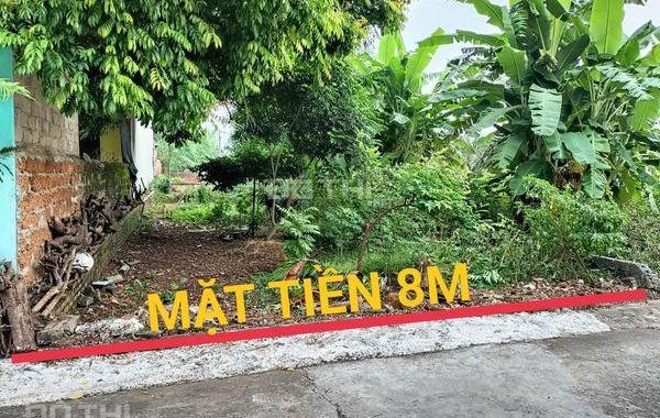Mặt đường siêu đẹp thôn 7 Tân xã khu CNC Hòa Lạc