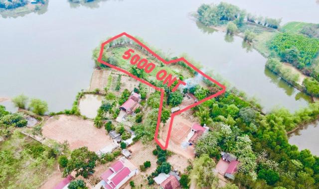 Cắt lỗ gấp bán 5000m2 đất Quảng Phú - Thọ Xuân, Thanh Hóa