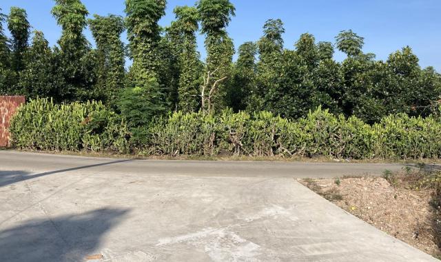Bán 1 sào đất Phú Lộc, Huyện Tân Phú đường xe hơi giá gốc