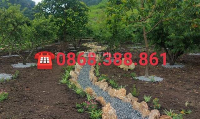 Cần bán mảnh đất 800m2 đẹp nhất Mộc Châu