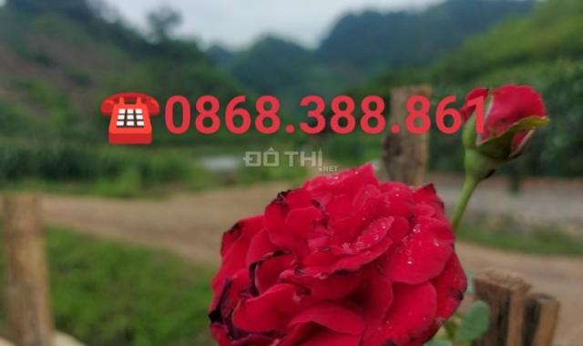 Cần bán mảnh đất 800m2 đẹp nhất Mộc Châu