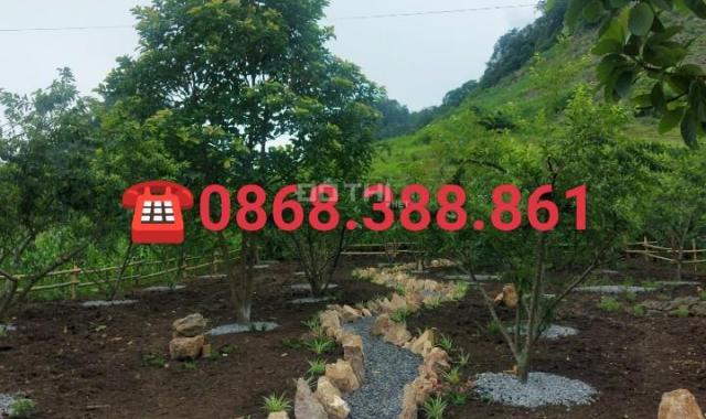 Cần bán mảnh đất 800m2 đẹp nhất Mộc Châu