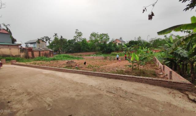 Bán đất tại Xã Minh Trí, Sóc Sơn, Hà Nội diện tích 564m2 giá 5.5 Triệu