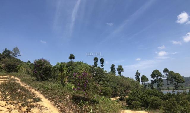 Bán 1.1 ha đất Thanh Sơn - Huyện Tân Phú giá ngộp view Hồ Đa Tôn