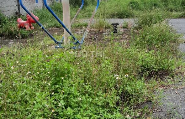 Chú 7 Gà có thằng con qua Thamo đá gà thua đỗ nợ cả tỷ bạc nên chú bán gấp lô đất 750Tr luôn
