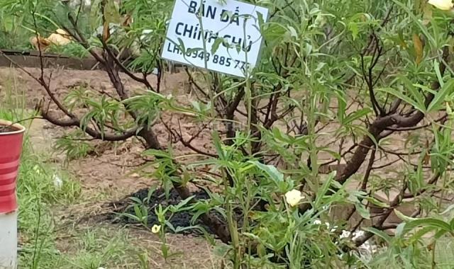 Chính chủ bán đất Quang Minh, Mê Linh, DT 88,6m2, MT 4,93m. 2 mặt thoáng cạnh nhà văn hóa