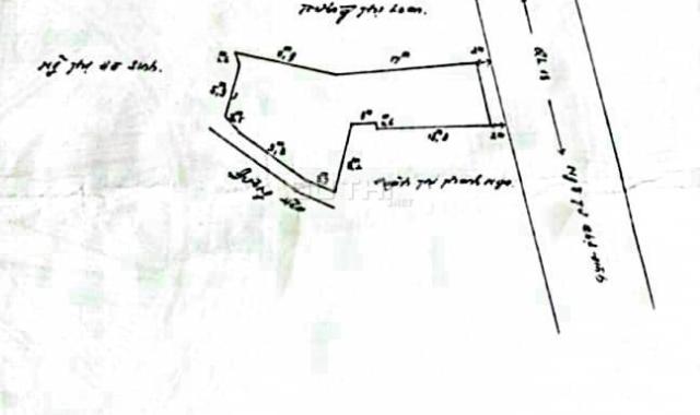 Bán lô đất mặt tiền Đại Lộ Bình Dương ngay ngã tư Chợ Đình. 264m2. Thổ cư 151m2