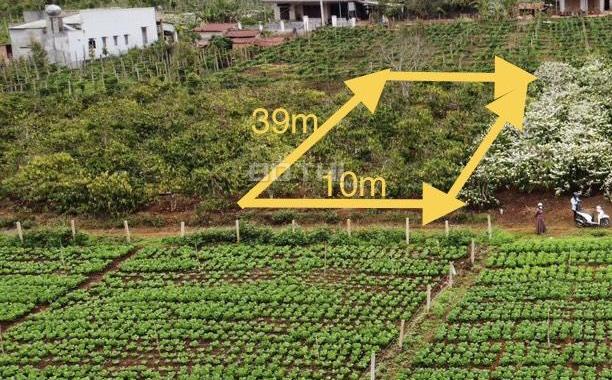 Đất thổ cư view cánh đồng đẹp lung linh chỉ 350tr cho 390m2 gần TP PleiKu