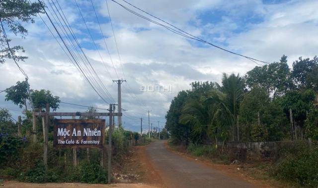 Đất thổ cư view cánh đồng đẹp lung linh chỉ 350tr cho 390m2 gần TP PleiKu