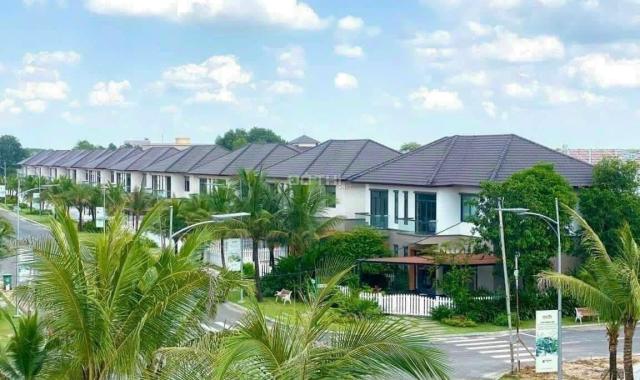 Phúc An Ashita - tọa độ vàng - ngàn giá trị