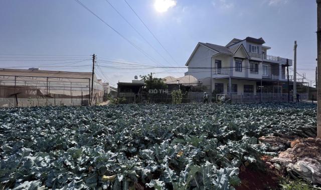 Chính chủ cần bán gấp lô đất 660m2 tại trung tâm xã Xuân Thọ TP Đà Lạt giá 9tỷ