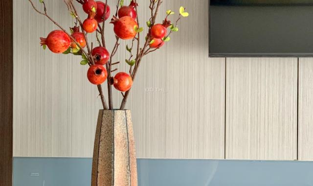 Bán ngộp căn 1PN view cận sông thoáng mát chỉ 4.2  bao hết, LH: 0334 237 251
