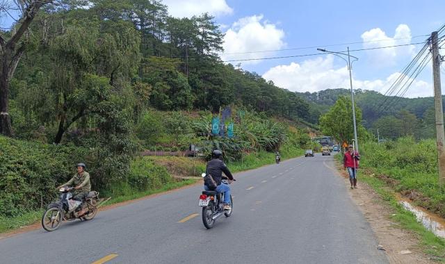 Bán trang trại, khu nghỉ dưỡng tại đường Mimosa, Phường 10, Đà Lạt, Lâm Đồng diện tích 7154m2