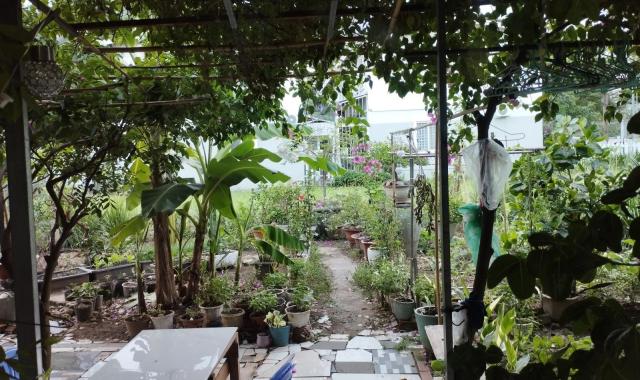 Gia chủ chuyển nhượng cho khách phù hợp mái ấm Ehome4 Vĩnh Phú Thuận An