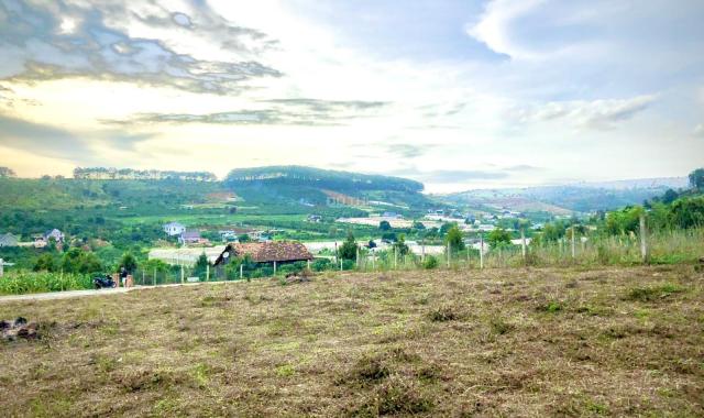 Bán 4 sào đất Mê Linh, 2 mặt tiền đường, sẵn 1800m2 thổ cư