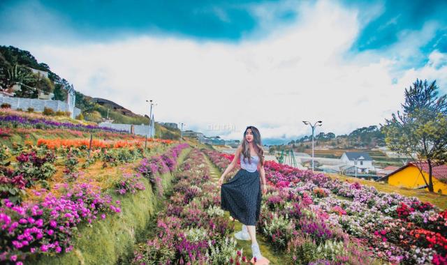 Bán gấp giá tốt khu xây dựng giá tốt đang làm du lịch P11