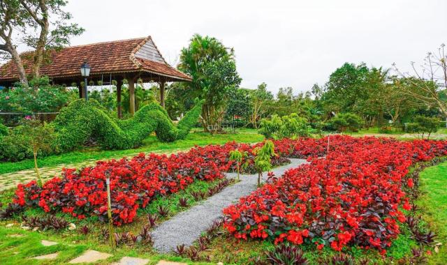 Bán Gấp 4,6ha Khu Du Lịch Cao Nguyên Vân Hòa, View Hồ, đang kinh doanh 80-100 triệu/tuần