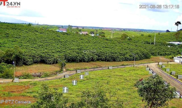 DT24 bán 2 suất ưu tiên  dự án Mimosa Garden Bảo Lộc
