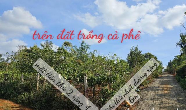 BÁN 3 LÔ LIỀN KỀ SIÊU ĐẸP XÃ CƯ NÉ, HUYỆN KRÔNG BUK, ĐẮK LẮK - GIÁ ĐẦU TƯ F0