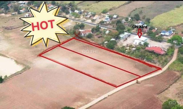 GIÁ NIÊM YẾT 290 TRIỆU TẶNG NGAY 2 CHỈ VÀNG