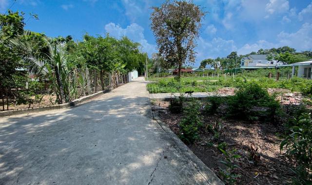 Bán đất tại Đường Mạc Đĩnh Chi, Phường Tân An, Thủ Dầu Một, Bình Dương diện tích 85m2