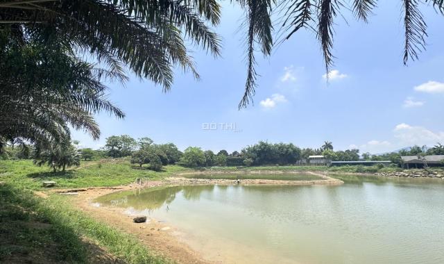 Chủ nhà gửi bán lô đất nền duy nhất vị trí cực đẹp tại Phú Cát- Hòa Lạc nằm cạnh quần thể Khu du lị