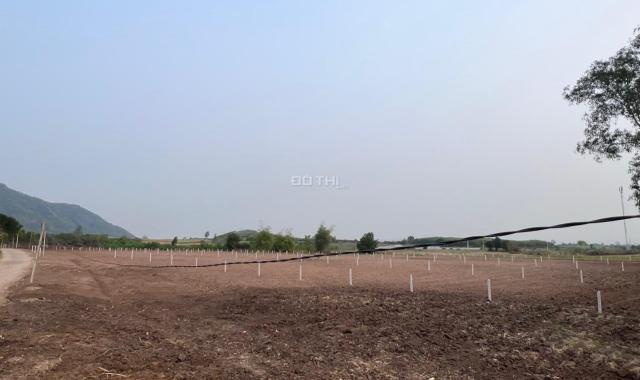 ALO ALO !!! Ở ĐÂY BÁN ĐẤT NGỘP GIÁ RẺ