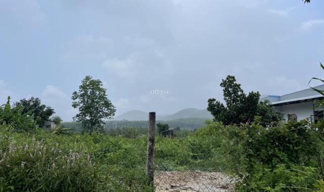 Bán 559m2 đất rẻ nhất đường 600A, Phú An, Huyện Tân Phú 200tr/m ngang