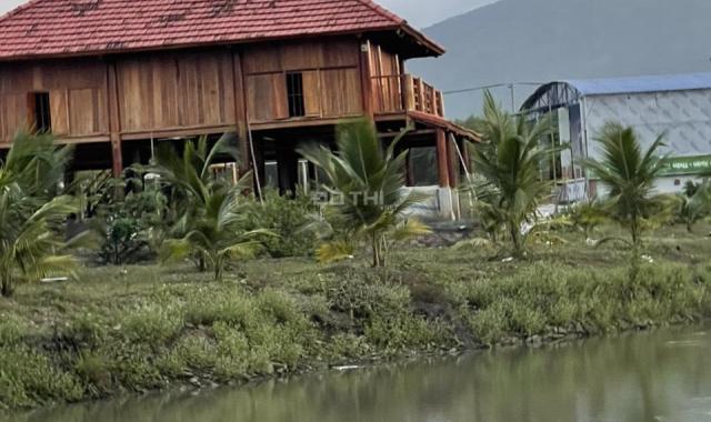 Bán đất tại Xã Xuân Trường, Xuân Lộc, Đồng Nai diện tích 7000m2