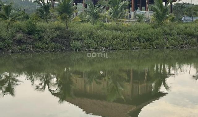 Bán đất tại Xã Xuân Trường, Xuân Lộc, Đồng Nai diện tích 7000m2