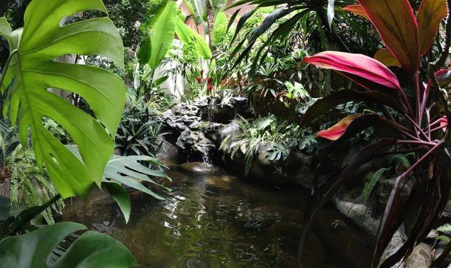 Bán Gấp Siêu Phẩm Ô Tô Tránh Kinh Doanh, Tô Ngọc Vân Tây Hồ DT 426M 4T MT 20M Giá 145Tỷ