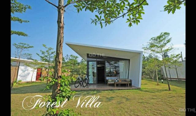 Bán biệt thự mặt hồ Forest Villa Flamingo Đại Lải 140m2