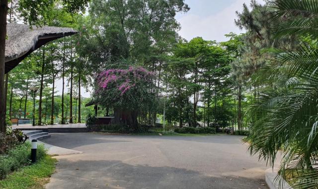 Bán nhà biệt thự, liền kề tại Dự án Flamingo Đại Lải Resort, Phúc Yên, Vĩnh Phúc diện tích 220m2 gi