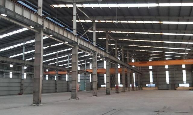 Cho thuê kho xưởng 5.400m2 Cụm CN Hoàng Gia, xã Mỹ Hạnh Nam, huyện Đức Hoà, tỉnh Long An