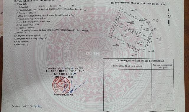 Cần tìm nhà đầu tư với số lượng lớn - bán đất cắt lỗ, mua là thắng