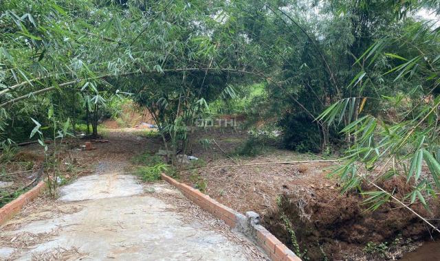 CHÍNH CHỦ BÁN 1,5HA ĐẤT RẪY ĐIỀU SỔ ĐỎ RIÊNG GIÁ TỐT