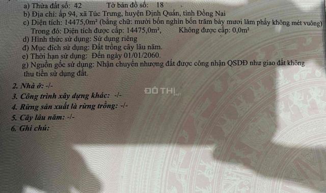 CHÍNH CHỦ BÁN 1,5HA ĐẤT RẪY ĐIỀU SỔ ĐỎ RIÊNG GIÁ TỐT