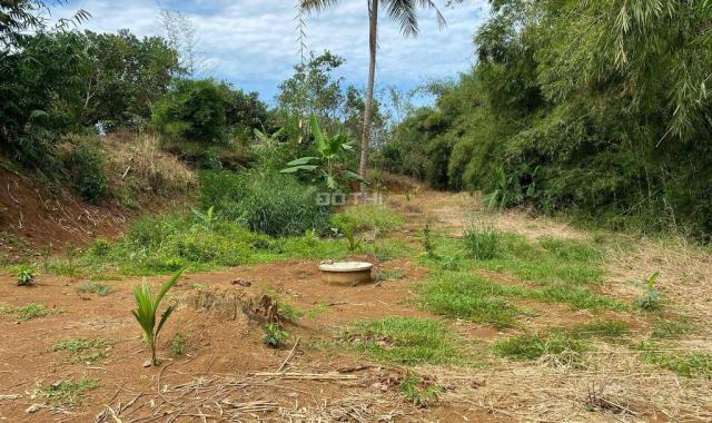 CHÍNH CHỦ BÁN 1,5HA ĐẤT RẪY ĐIỀU SỔ ĐỎ RIÊNG GIÁ TỐT