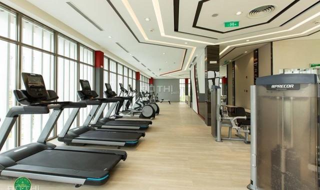 Cho thuê căn hộ 2 PN , dự án SAIGON SOUTH - Phú Mỹ Hưng, đường Nguyễn Hữu Thọ - Gần Đại Học RMIT