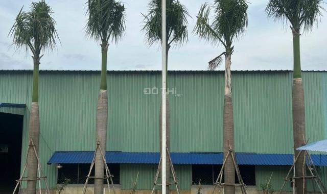 💥HOT Bán Xưởng 12000m2 Long Phước, Long Thành chỉ 60 Tỷ