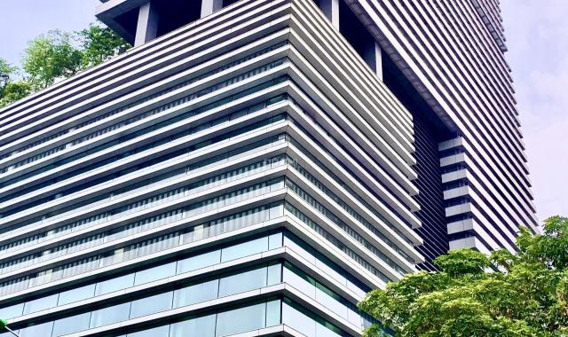 Bán tòa nhà mặt phố Xã Đàn, Đống Đa, 7 tầng x 75m2, mặt tiền 6m, giá 37.5 tỷ, sổ 1 người chính chủ