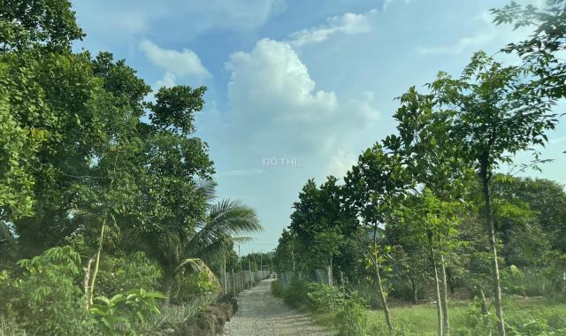 Bán 4.5 sào đất Phú Thịnh, Huyện Tân Phú GIÁ MỀM đường xe hơi