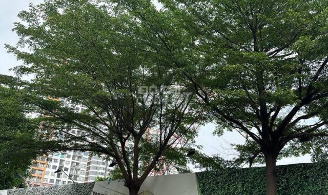 Bán đất an phú đường số 1 khu nhà ở Phú Nhuận Q.2 gần chợ Giồng (80m2) 14 tỷ  LH. 0909 972 783
