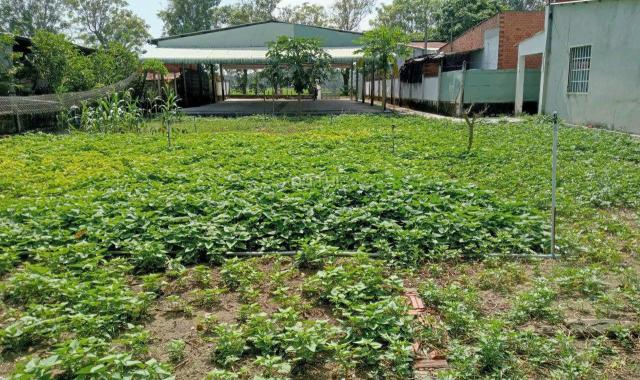 Bán đất Củ Chi xã An Phú; 5.9 tỷ; 926m2; MT đường 791, xe tải 8 tấn tới nơi