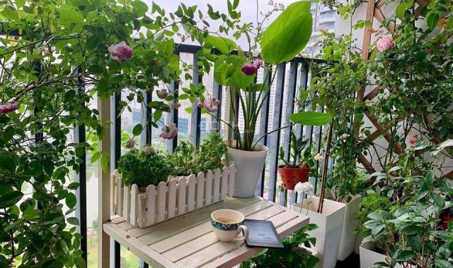 Cần bán một số căn hộ chung cư Tòa N01T7  khu Ngoại Giao Đoàn, Xuân Tảo