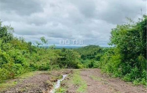 CHÚ VOI CON Ở BẢN ĐÔN, TO MÀ GIÁ NHỎ, cưỡi chơi thong dong cũng có tiền