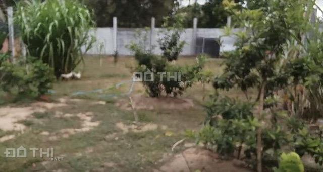 Bán đất tại Đường Tỉnh lộ 913, Xã Duyên Hải, Duyên Hải, Trà Vinh diện tích 500m2 giá 1.5 Tỷ