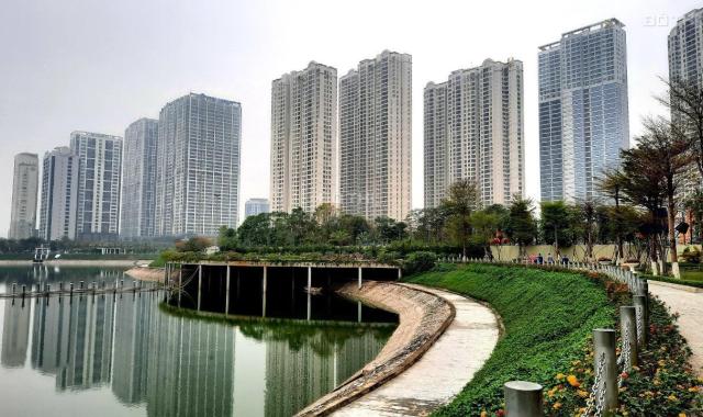 Mới! Ở đây có quỹ căn bán từ căn nhỏ đến căn to tại Vinhomes D'Capitale Trần Duy Hưng