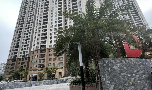 Mới! Ở đây có quỹ căn bán từ căn nhỏ đến căn to tại Vinhomes D'Capitale Trần Duy Hưng
